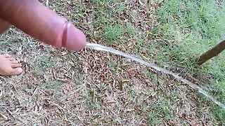 589 golden porn videos